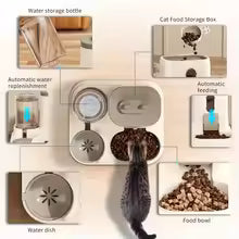 Cat Bowl Automatic Feeder