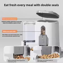 Cat Bowl Automatic Feeder