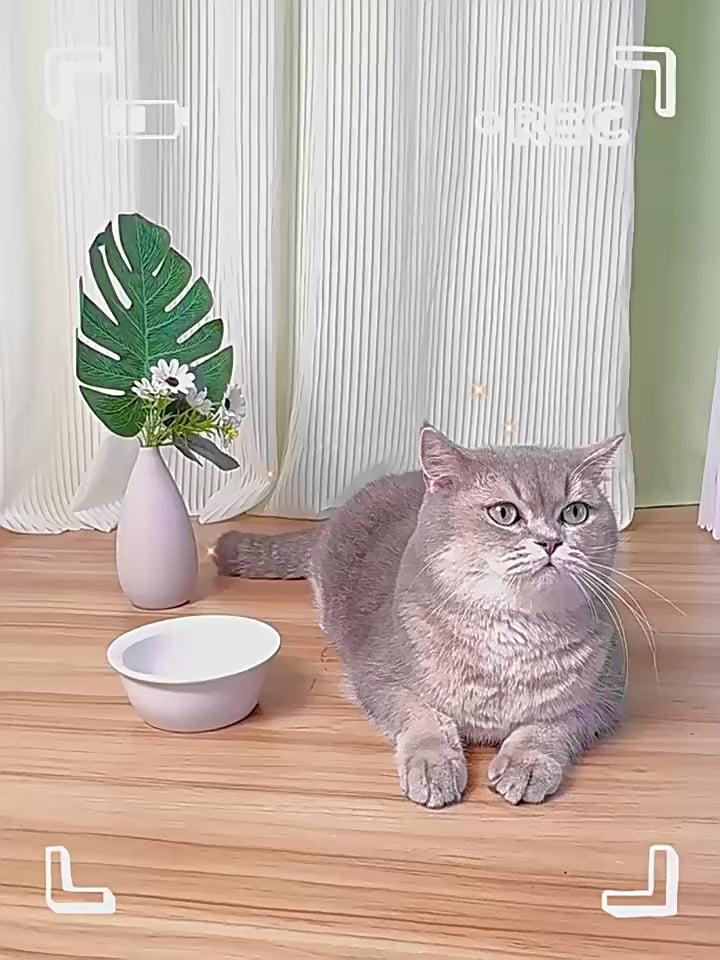 Cat Bowl Automatic Feeder